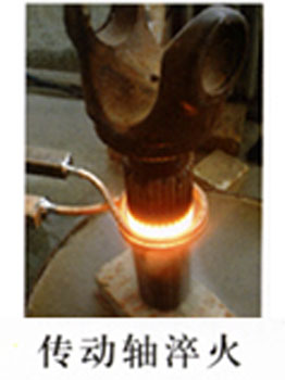 ���l�t�O�䌦�����S�M��